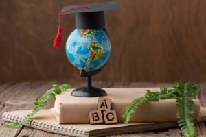Careers with a BA in Economics, Non-Profit and International Organizations